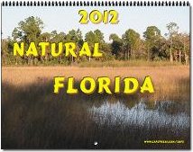 Natural Florida Calenar